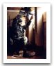 Us-army_soldiers_uniform_United_States_012.jpg