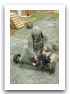 javelin_one_man_portable_anti-tank_guided_missile_Raytheon_Lockheed_Martin_United_States_left_side_view_006.jpg