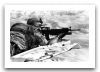 M16_automatic_assault_rifle_United_States_019.jpg