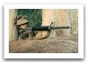 M16_automatic_assault_rifle_United_States_021.jpg