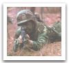 M16_automatic_assault_rifle_United_States_001.jpg