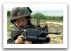 M16_automatic_assault_rifle_United_States_024.jpg