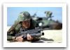 M16_automatic_assault_rifle_United_States_006.jpg