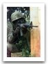 M16_automatic_assault_rifle_United_States_012.jpg