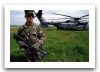 M16_automatic_assault_rifle_United_States_009.jpg