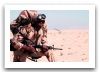 M16_automatic_assault_rifle_United_States_015.jpg