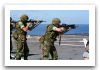 M16_automatic_assault_rifle_United_States_023.jpg