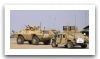 M1117_ASV_Guardian_Textron_security_wheeled_armoured_vehicle_personnel_carrier_United_Staes_American_US_army_008.jpg