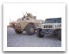 M1117_ASV_Guardian_Textron_security_wheeled_armoured_vehicle_personnel_carrier_United_Staes_American_US_army_005.jpg