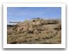m1_abrams_main_battle_tank_Australian_Army_004.jpg