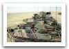 Aslav_gun_25mm_wheeled_armoured_infantry_fighting_vehicle_Australian_Army_002.jpg