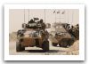 Aslav_gun_25mm_wheeled_armoured_infantry_fighting_vehicle_Australian_Army_003.jpg