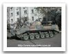 TAMSE_VCTP_tracked_armoured_infantry_fighting_vehicle_Argentina_Argentine_army_002.jpg