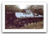 TAMSE_VCTP_tracked_armoured_infantry_fighting_vehicle_Argentina_Argentine_army_010.jpg