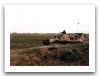 TAMSE_VCTP_tracked_armoured_infantry_fighting_vehicle_Argentina_Argentine_army_009.jpg
