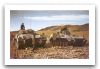 TAMSE_VCTP_tracked_armoured_infantry_fighting_vehicle_Argentina_Argentine_army_011.jpg