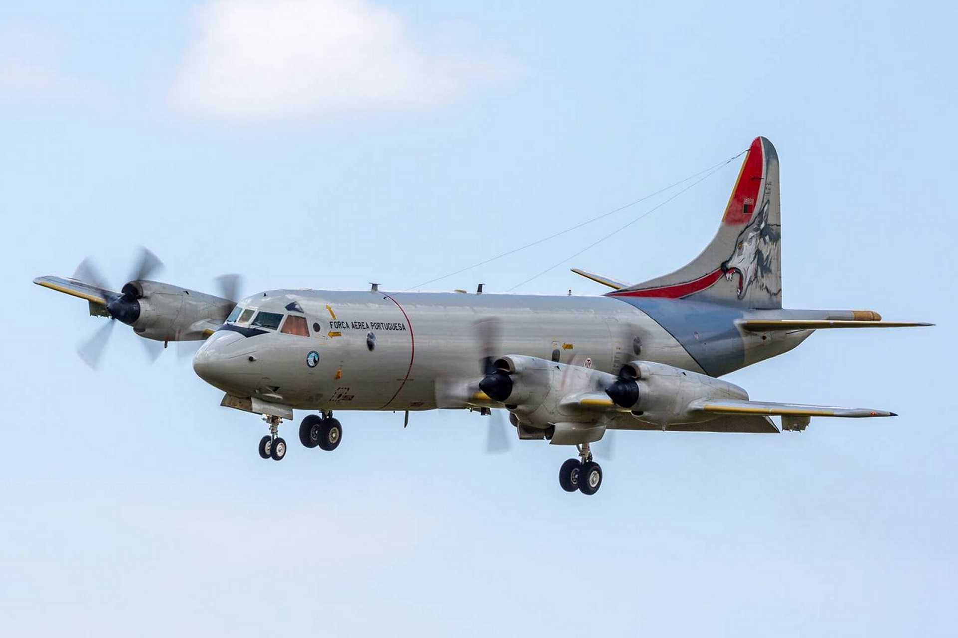 The current Portuguese fleet includes three P-3C Update II.5s and two P-3C CUP CGs, later modernized between 2008 and 2010 to the P-3C CUP+ configuration, as well as six P-3C airframes sourced from Germany. (Picture source: Portuguese Air Force)