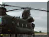 CH-47_Chinook_USA_06.jpg (65186 bytes)