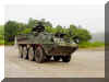 Stryker_ICV_Wheeled_Armoured_Vehicle_USA_48.jpg (33298 bytes)