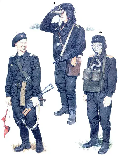 Russian army combat ranks field uniform uniforms pictures picture photo image Arm?�e Russe 