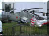 Mi-24_Hind-A_Russia_05.jpg (364670 bytes)