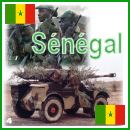 Sénégal armée sénégalaise forces terrestres équipements militaires véhicule blindés renseignement information description photos images fiches techniques
