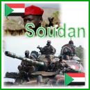 Soudan armée soudanaise forces terrestres équipements militaires véhicule blindés renseignement information description photos images fiches techniques