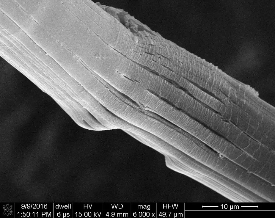 Army Recognition Global Defense and Security news