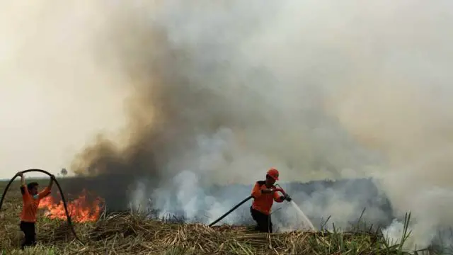 In a bid to tackle the Southeast Asian haze crisis, regional leaders must prioritise actions that protect the health and welfare of those affected, according to an industry leader participating in the upcoming Asia Pacific Homeland Security (APHS) conference.