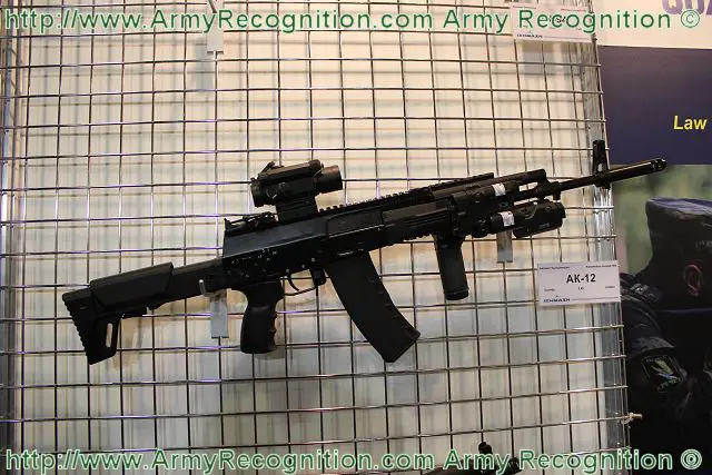 Various modifications of a new Kalashnikov AK-12 assault rifle as well as a host of other small arms will be put in service with the Russian armed forces in 2014, a senior government official said.