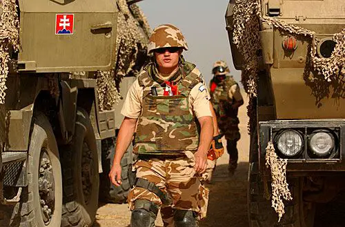 Slovakia Slovak Army Ranks Land Ground Forces Combat Uniforms Military 