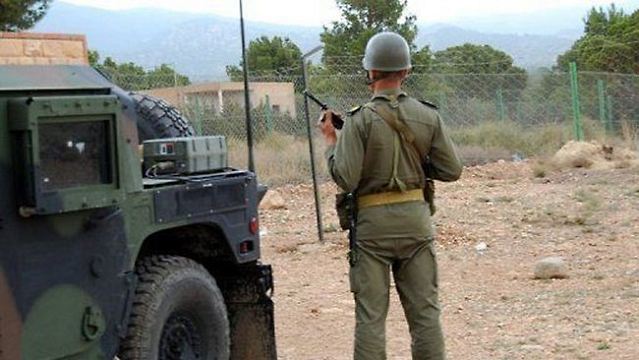 The Tunisian army has launched an offensive against a group of fighters near the Algerian border, where eight Tunisian soldiers were killed earlier this week by suspected "terrorists", AFP news agency says quoting a security source. The source said the attack took place 16km from Kasserine, near Mount Chaambi, where the eight Tunisian troops were found on Monday with their throats cut after being ambushed by fighters.
