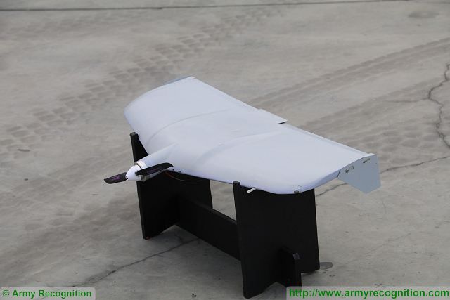 Russia’s Western Military District has received ten Granat and Eleron-3 unmanned aerial vehicles (UAVs) in 2016, the district’s press office said. Russian armed forces continue to extend the use of UAVs in all military units. 