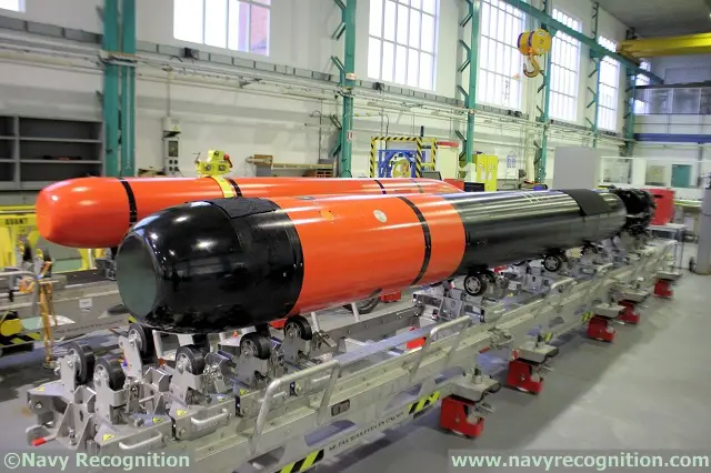 F21 Heavyweight torpedo Naval Group St Tropez