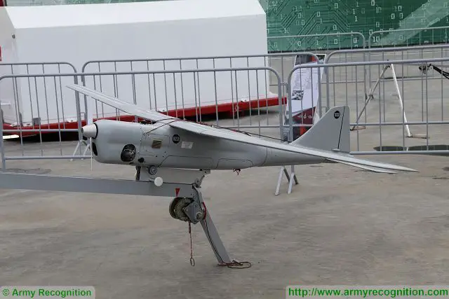 The unmanned aerial vehicle (UAV) battalion will appear in the 201st Russian military base deployed in Tajikistan by the end of the year, Commander of the Central MD Colonel-General Vladimir Zarudnitsky said on Thursday, May 25, 2017.
