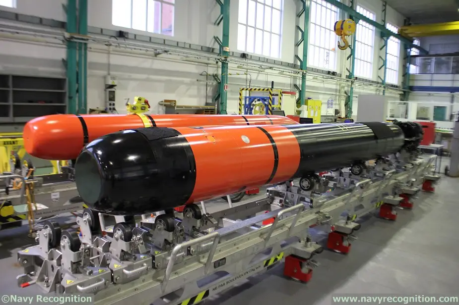 F21 Artemis Heavyweight Torpedo by Naval Group