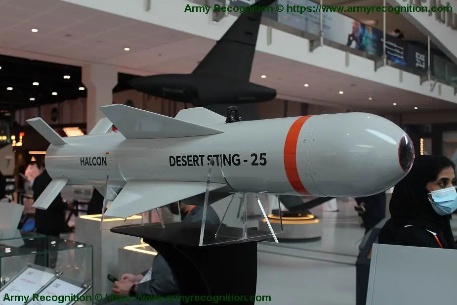 HALCON from UAE has developed P2 Desert Sting and P3 Thunder precision guided munitions 925 002
