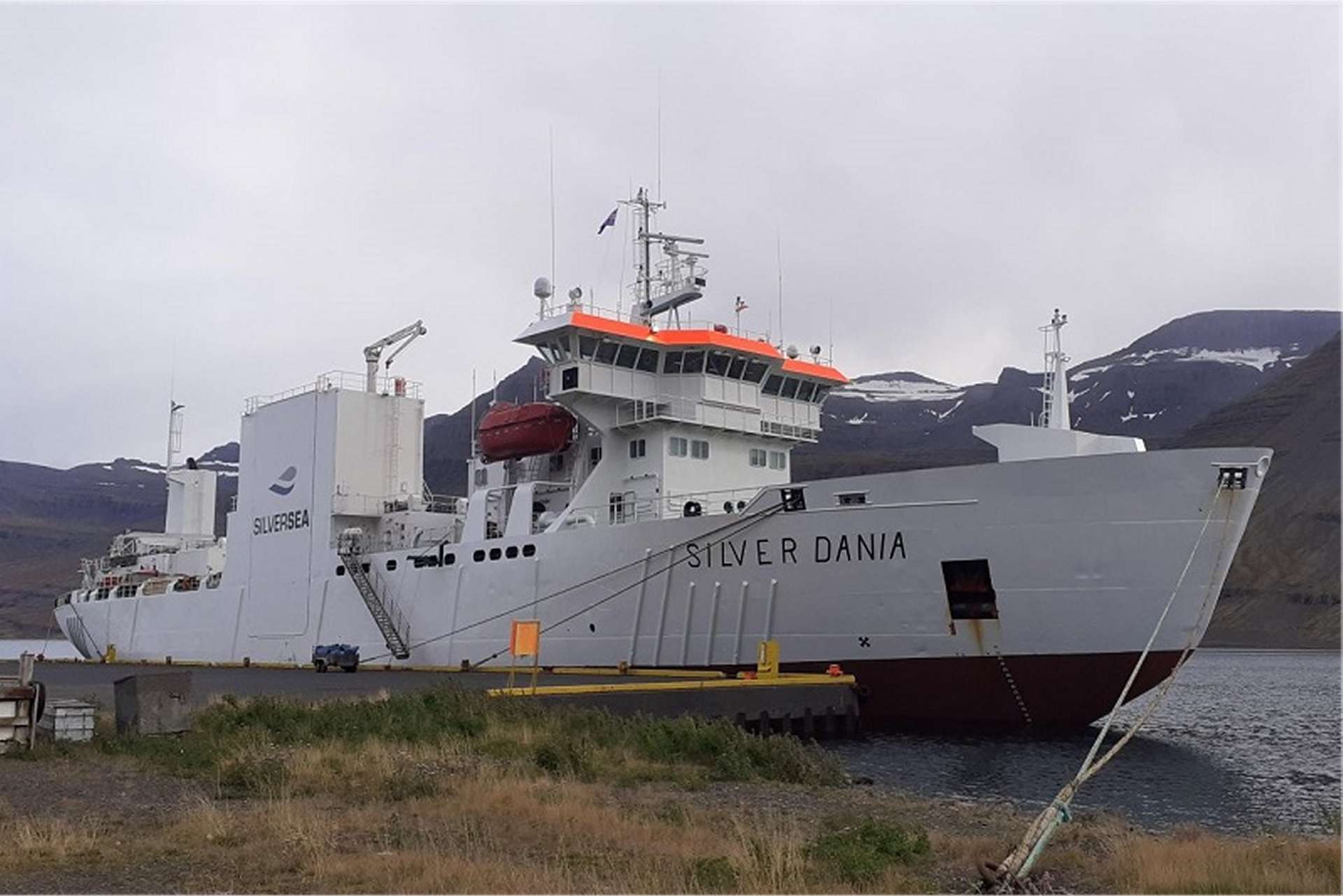 Norwegian-Owned Ship Silver Dania Detained in Norway over Suspected ...