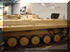 BMP-1_Irak_09.jpg (89596 bytes)
