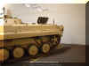 BMP-1_Irak_12.jpg (73909 bytes)
