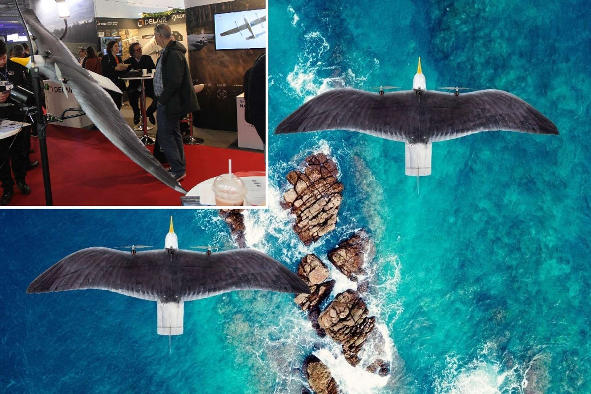 The Seagull Evo UAS, displayed at BEDEX in Brussels, is a Dutch bird-shaped micro-UAV designed for covert coastal and border surveillance, combining low visual signature, rapid deployment, and real-time EO/IR reconnaissance for tactical ISR missions (Picture source: Army Recognition Group).