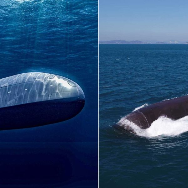 Canadian authorities are considering the option of dividing the procurement between Germany’s ThyssenKrupp Marine Systems and South Korea’s Hanwha Ocean, acquiring six submarines from each supplier. (Picture source: TKMS and Hanwha Ocean)