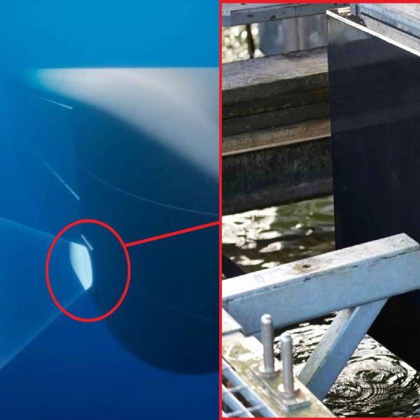 Thales Sonar 76Nano is a modular sonar for UUVs and seabed nodes, combining passive and active ASW, wide-area seabed imaging, low-signature underwater messaging, and onboard AI to extend submarine situational awareness at standoff (Picture source: Thales Group).