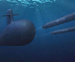 The Royal Netherlands Navy will equip its future Orka-class submarines with Naval Group’s F21 heavyweight torpedo, a 533 mm weapon designed for long-range anti-submarine and anti-surface warfare with fibre-optic guidance, autonomous acoustic homing, and a 50 km engagement range (Picture source: French MoD).