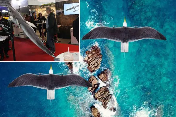 The Seagull Evo UAS, displayed at BEDEX in Brussels, is a Dutch bird-shaped micro-UAV designed for covert coastal and border surveillance, combining low visual signature, rapid deployment, and real-time EO/IR reconnaissance for tactical ISR missions (Picture source: Army Recognition Group).