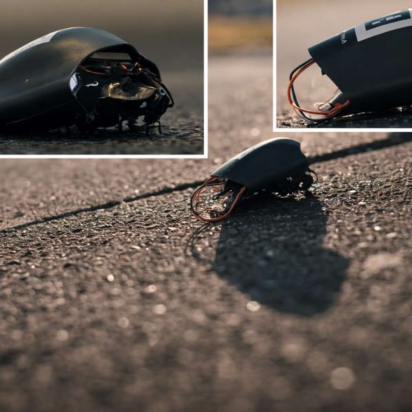 Programmable “cyborg” insect swarms: living insects fitted with mini sensor backpacks, edge processing, and secure short-range links, steerable via bioelectronic neural stimulation to slip through rooms, tunnels, and rubble for ultra-low-signature close reconnaissance and target detection (Picture source: SWARM Biotactics).