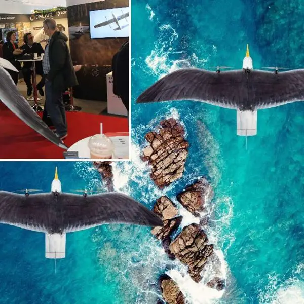 The Seagull Evo UAS, displayed at BEDEX in Brussels, is a Dutch bird-shaped micro-UAV designed for covert coastal and border surveillance, combining low visual signature, rapid deployment, and real-time EO/IR reconnaissance for tactical ISR missions (Picture source: Army Recognition Group).